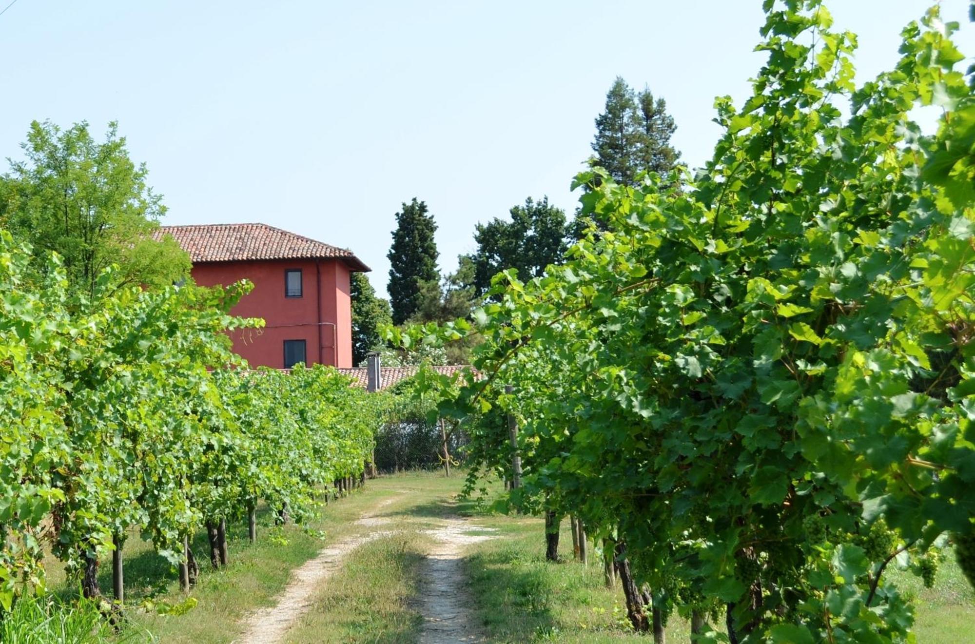 Agriturismo Isola Augusta Palazzolo dello Stella Exterior foto